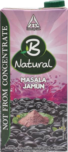 B Natural Masala Jamun