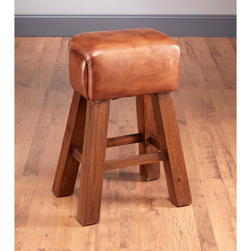 AA Importing Leather 30 in. Bar Stool